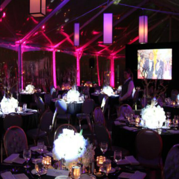 Centerpiece Lighting Package